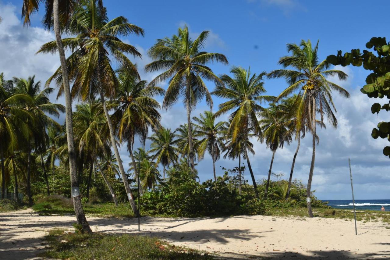 Kaz A Klemence Gite Creole Avec Piscine Et Table Dhotes A Anse Bertrand Exterior photo