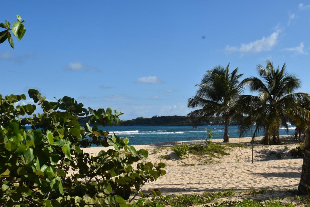 Kaz A Klemence Gite Creole Avec Piscine Et Table Dhotes A Anse Bertrand Exterior photo