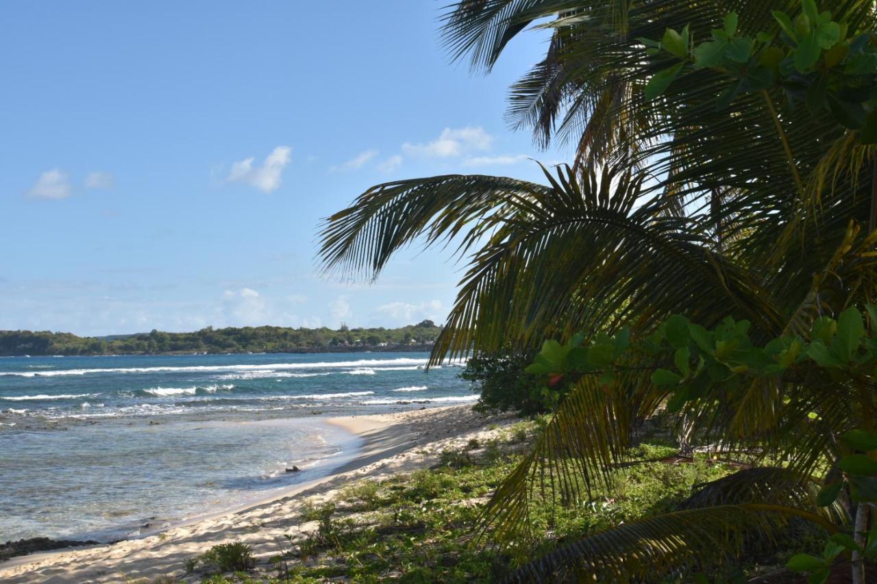 Kaz A Klemence Gite Creole Avec Piscine Et Table Dhotes A Anse Bertrand Exterior photo