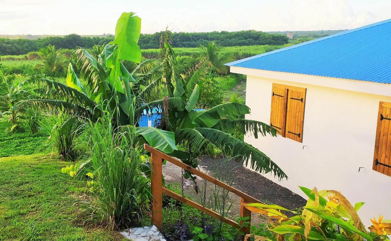 Kaz A Klemence Gite Creole Avec Piscine Et Table Dhotes A Anse Bertrand Exterior photo