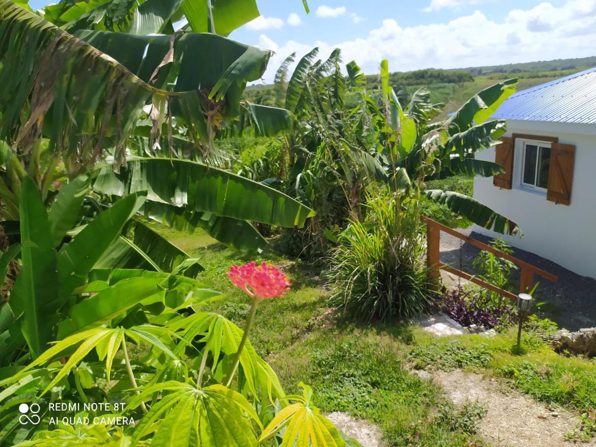 Kaz A Klemence Gite Creole Avec Piscine Et Table Dhotes A Anse Bertrand Exterior photo