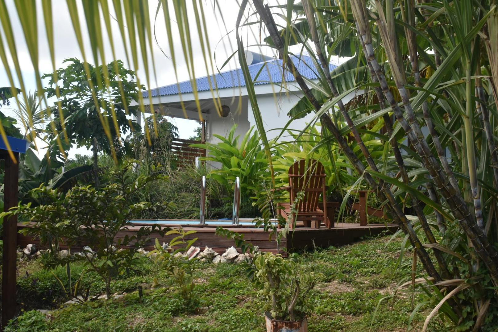 Kaz A Klemence Gite Creole Avec Piscine Et Table Dhotes A Anse Bertrand Exterior photo